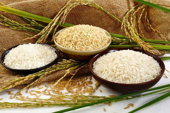 راه های تشخیص برنج اصلی از برنج تقلبی