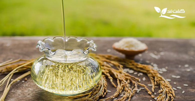 چرا به روغن سبوس برنج، روغن قلب گفته می شود؟