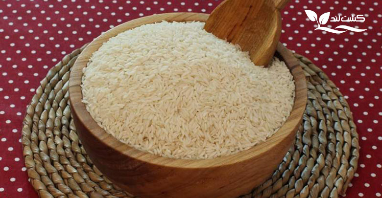 چگونه می توانم برنج خوب و ارزان قیمت پیدا کنم؟