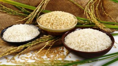 راه های تشخیص برنج ایرانی از برنج تقلبی