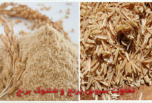 سبوس برنج دارای خواص دارویی و درمانی زیاد است.