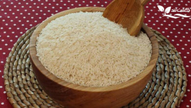 انتخاب برنج خوب و ارزان قیمت ملاک مهمی برای خرید برنج است.