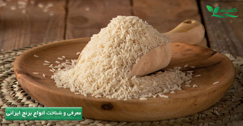 برنج انواع مختلفی در شکل و کیفیت پخت دارد.