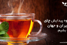 نحوه پیدایش چای در ایران و جهان