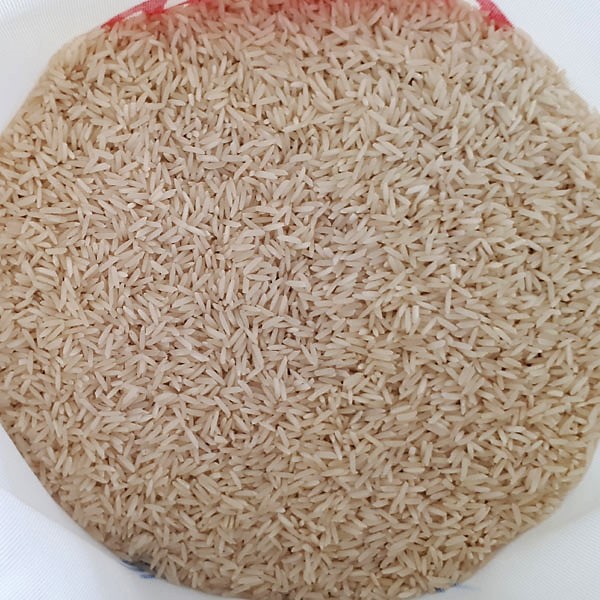 برنج شیرودی کشت اول فریدونکنار - برنج بهزاد - 10 کیلو	
