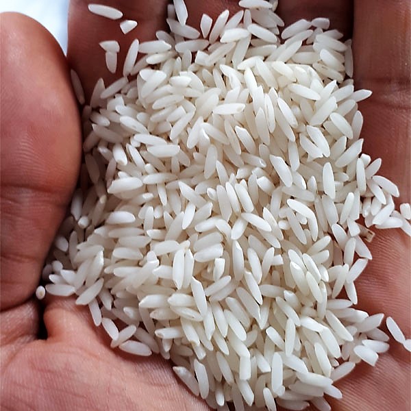 برنج بینام درجه یک فریدونکنار - کشت اول - 10 کیلو