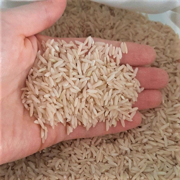 برنج قهوه ای فریدونکنار - برنج خان - 10 کیلو