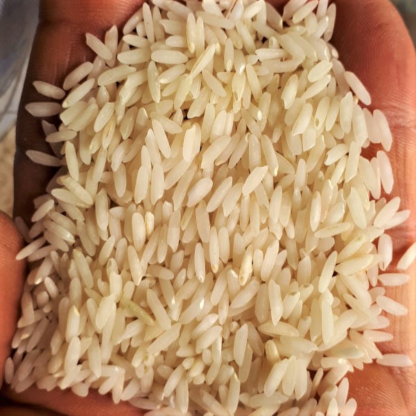 برنج کشت دوم بینام - برنج خان - 10 کیلو | کشت لند