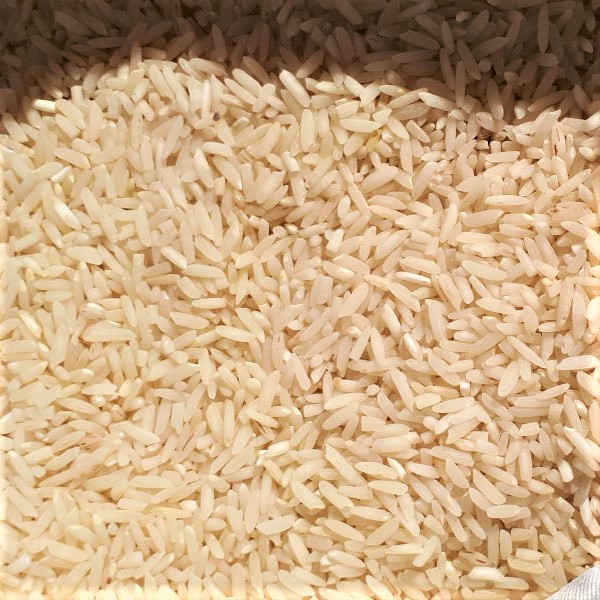 برنج لاشه صدری کشت دوم - برنج خان - 10 کیلو