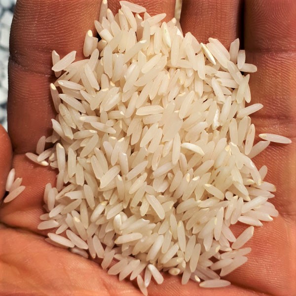 برنج شیرودی خوشپخت - برنج خان - 10 کیلو